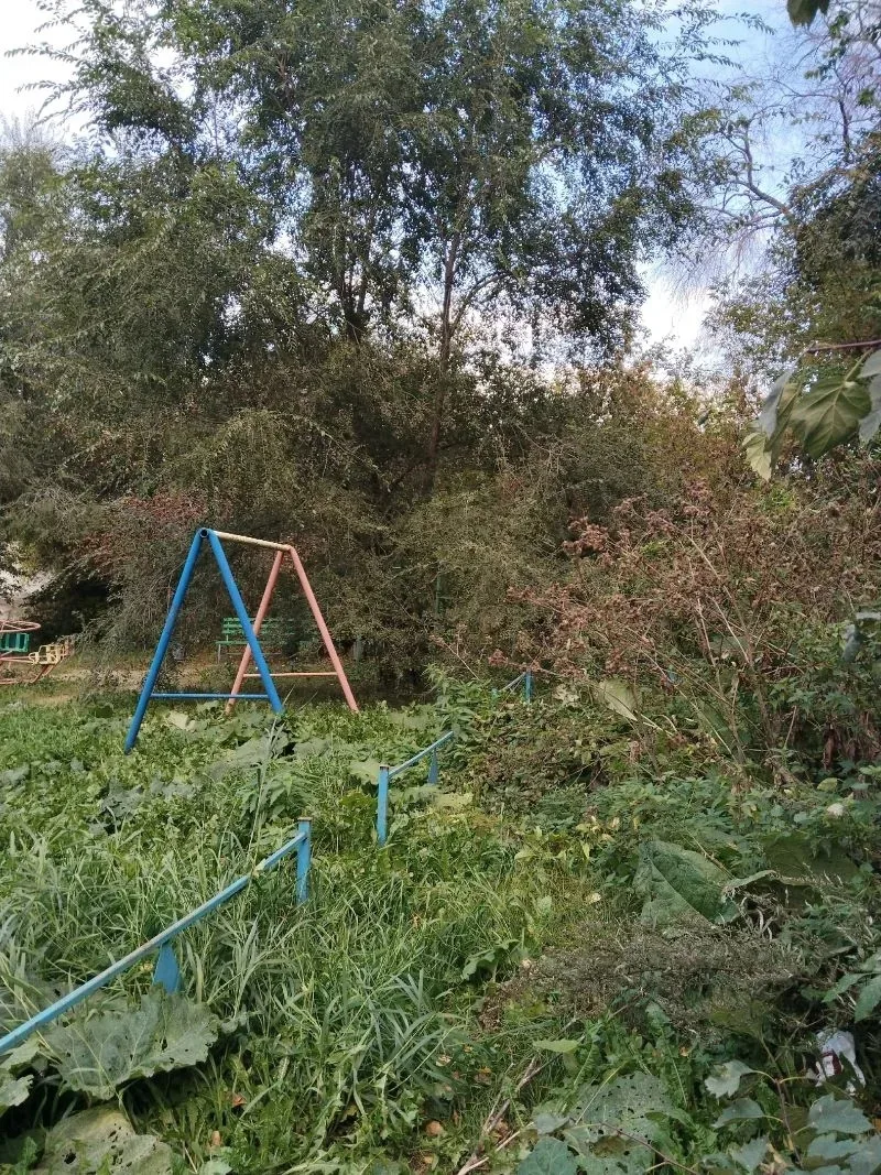 🌿 Детская площадка в центре Челябинска превратилась в джунгли