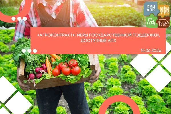 «Агроконтракт»: меры государственной поддержки, доступные ЛПХ»