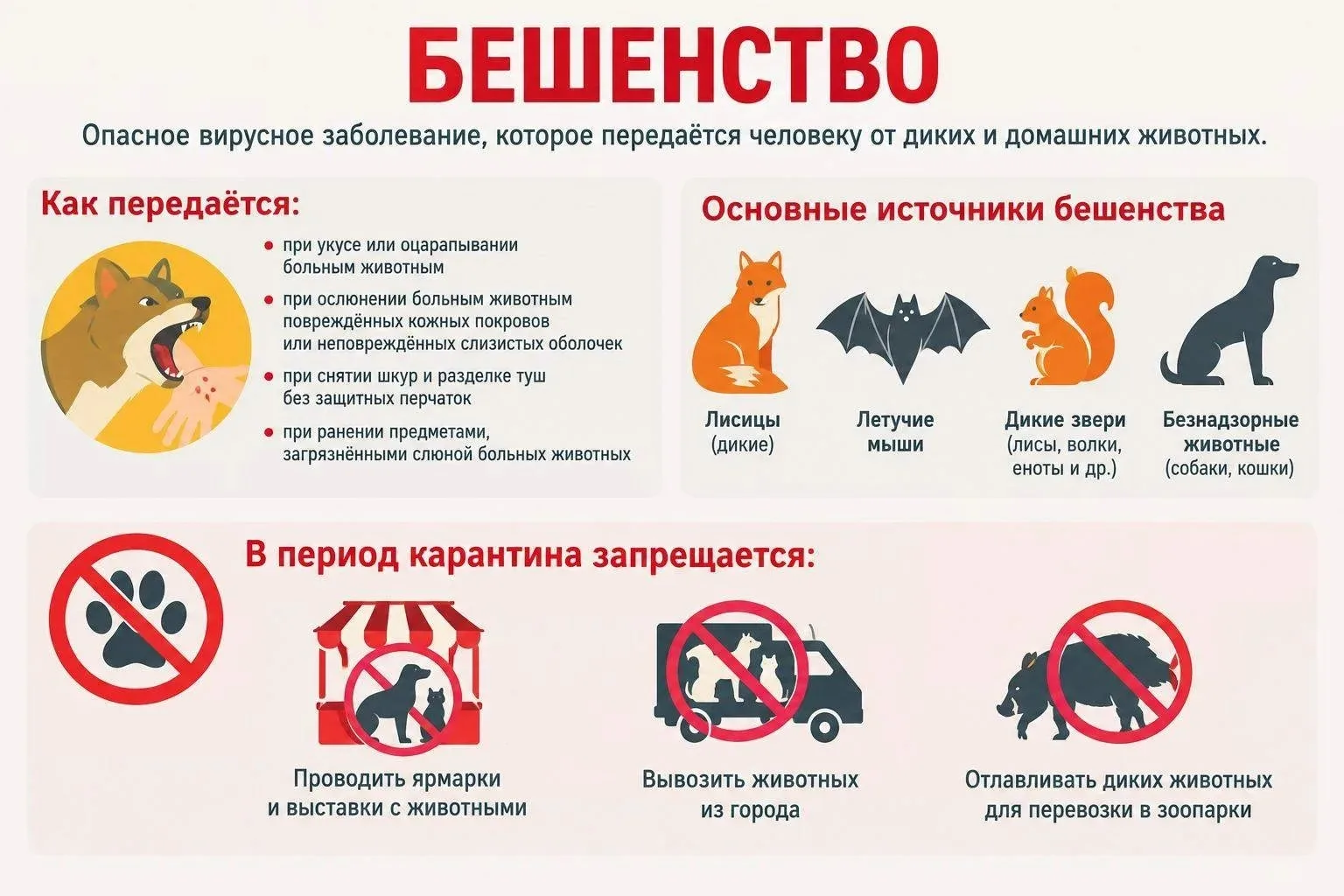 ❗️Карантин по бешенству ввели власти в Подольске