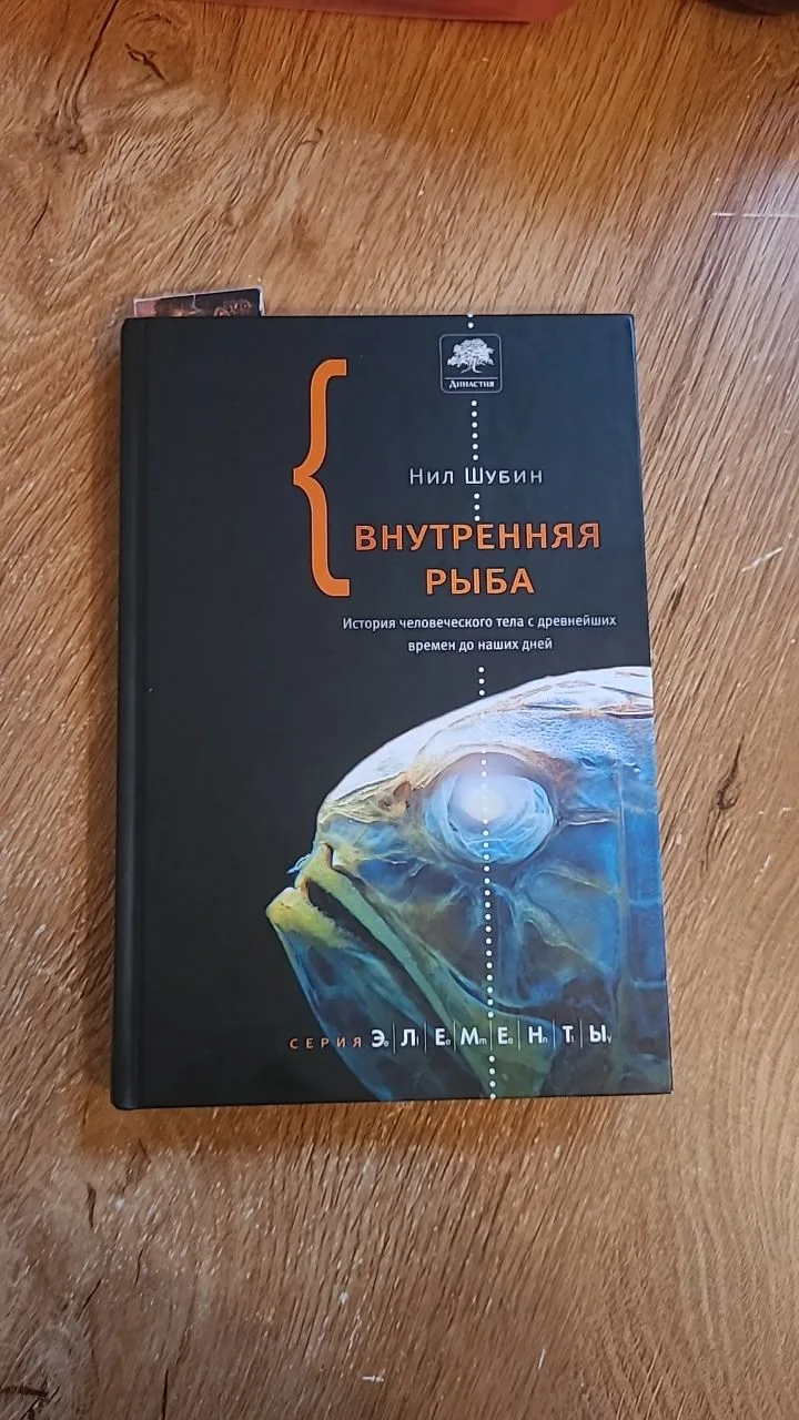 Коллеги, в этот дождливый субботний день я добралась до новой книги. Вдумчивое чтение -...