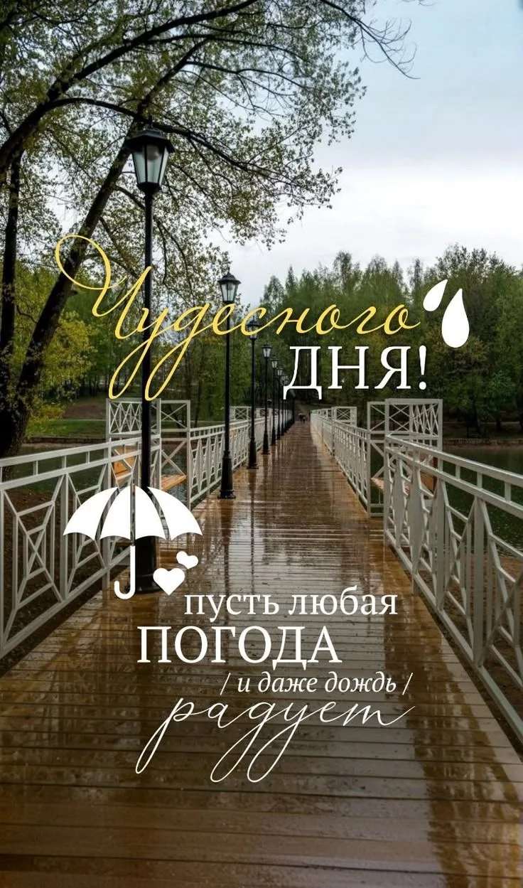 Добрый день, ЮИ! 🌧

Сегодня пятница, 24 июля 📅
За окном дождь — и в этом дне есть своя особенная м