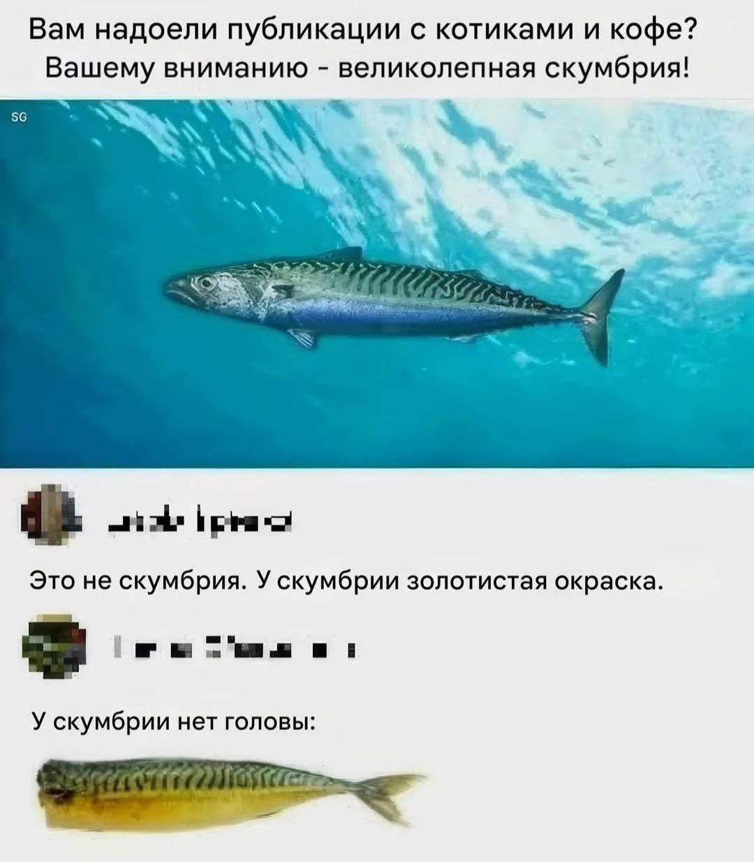 Я :