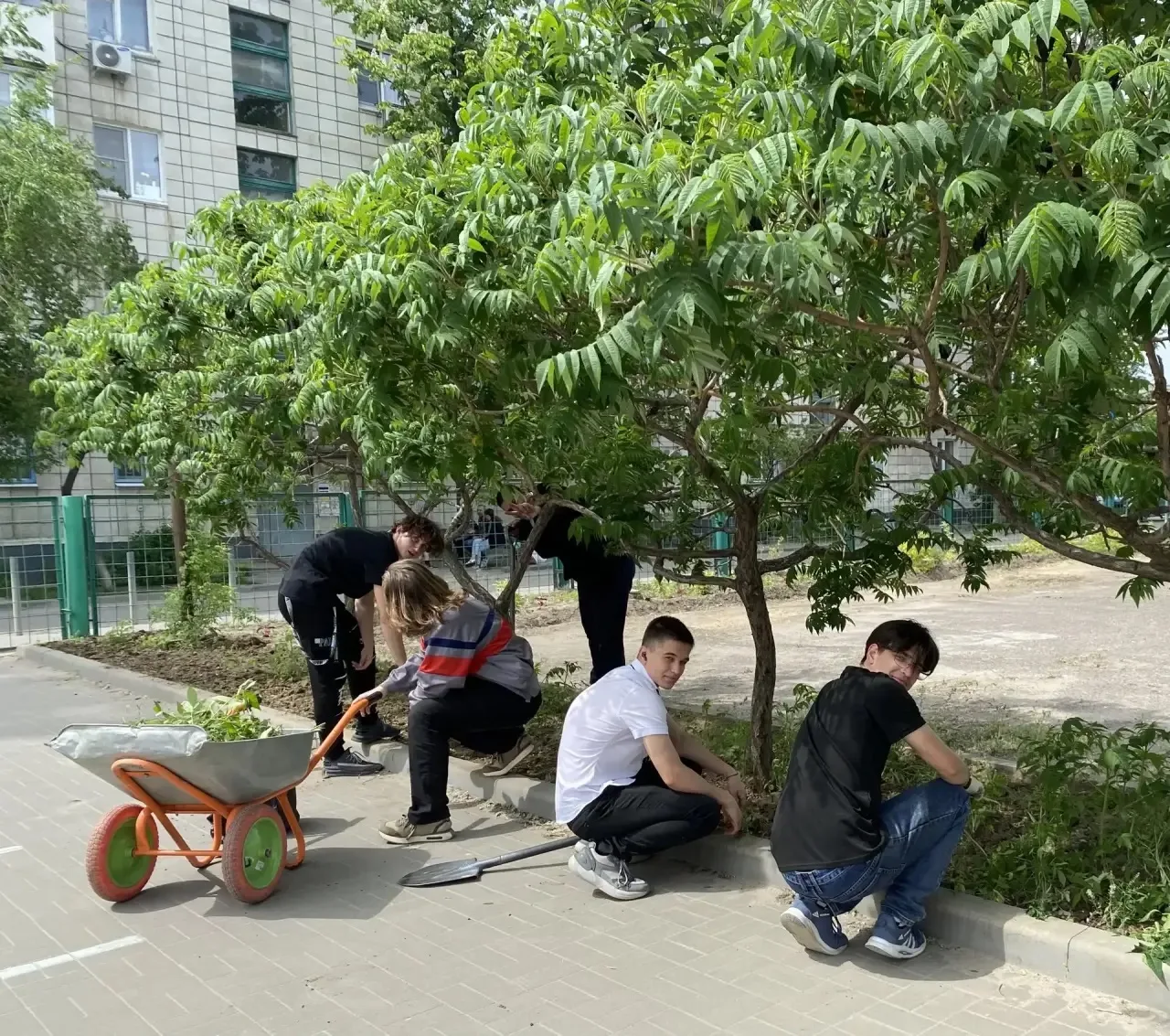 🌿 Школьный двор становится красивее: вместе создаём уголок природы! 🌿  Наши одиннадцатиклассники — н