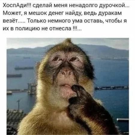 Хорошего вечера!                                                                       ...