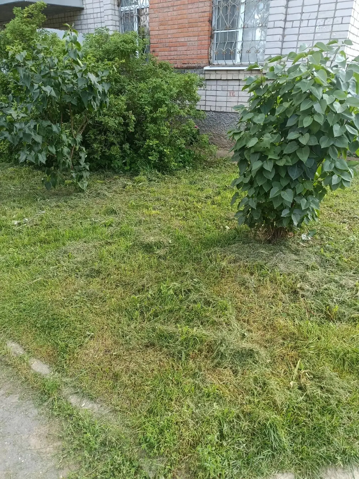 ✅Произведён покос травы по ул. Ленинградская, д. 140а