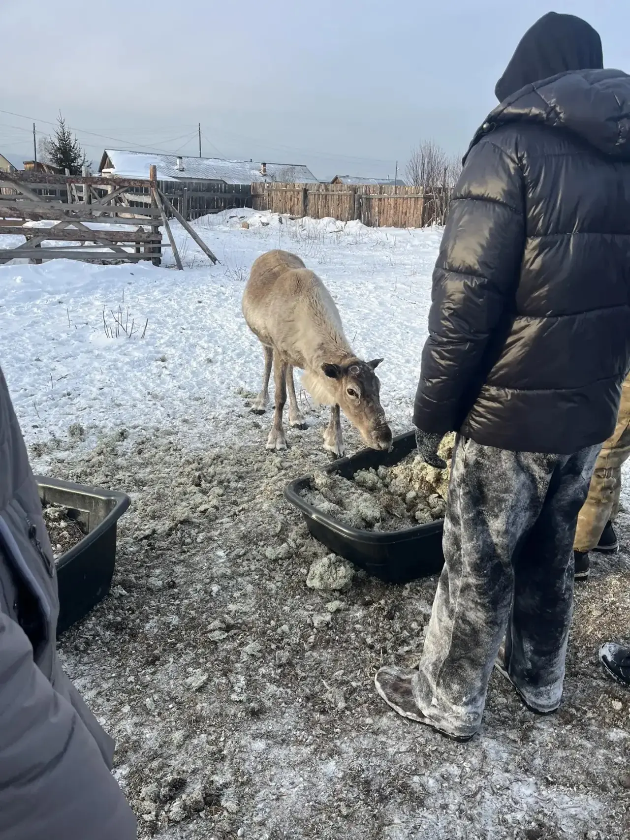 8 «В» класс побывали в местности с.Турка.   Проходило чаепитие в юрте с бурятскими традициями, так ж