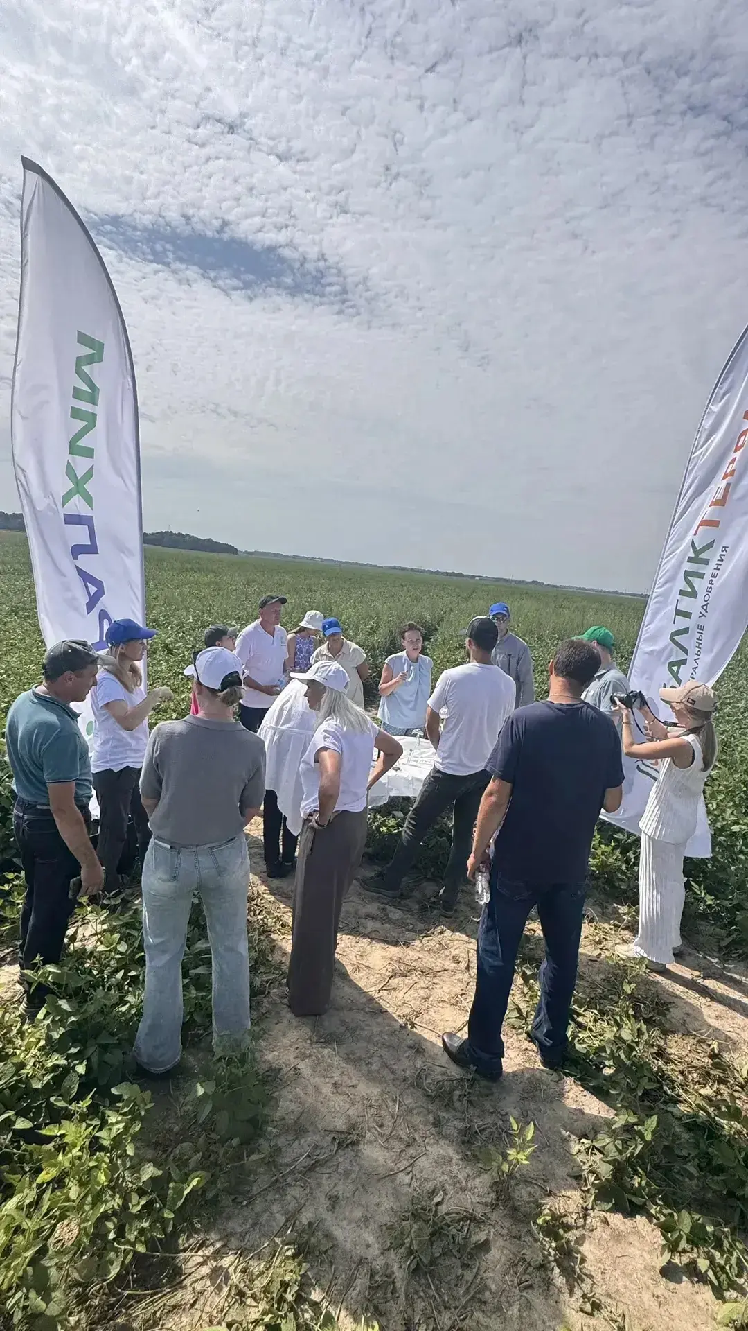 Студенты Калининградского филиала СПбГАУ оптимизировали применение удобрений