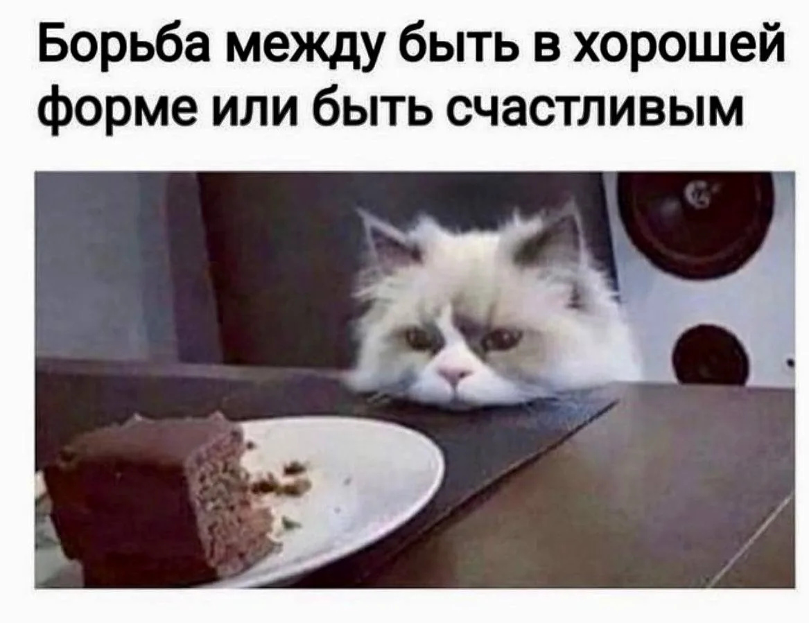 #мемыдня