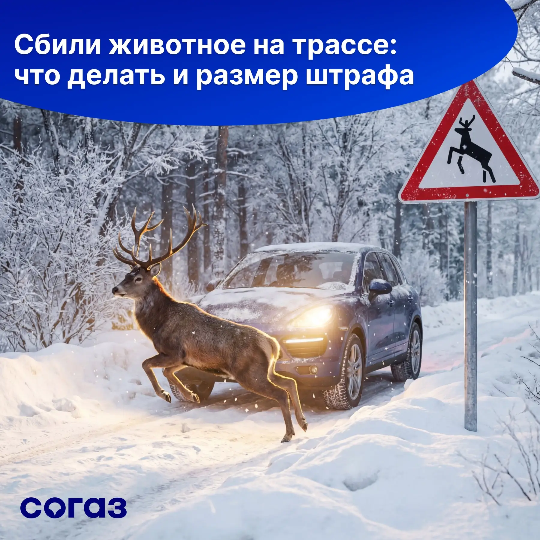 Даже аккуратный водитель может попасть в неприятную ситуацию на дороге.   Мы уже делились случаями п