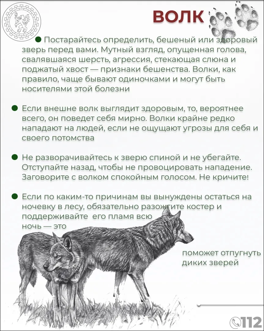 Изображение 4 к публикации «Кириши-Онлайн»