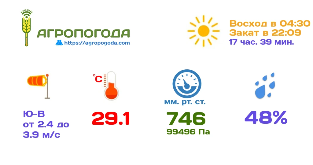 Агрометеорологическая сводка на 11.06.2026 (13:00)