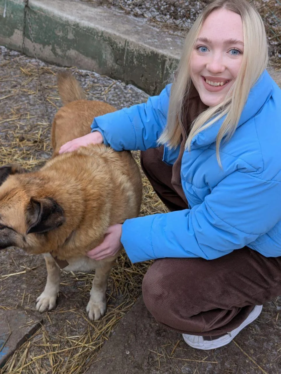 🐾 5 декабря в нашей школе состоялась благотворительная акция по сбору корма для бездомных животных «