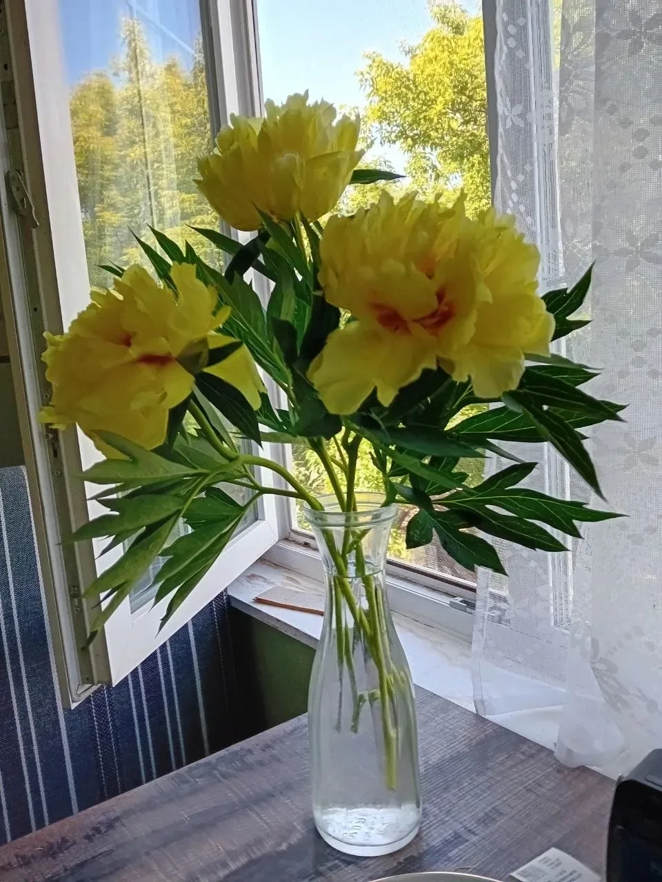 Несколько процедур и букет как живой🌺

Чтобы солнечный букет радовал дома вас как можно дольше, сле