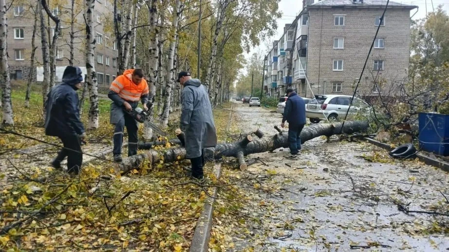 В Хабаровском крае после тайфуна без света оставались дома и соцобъекты
