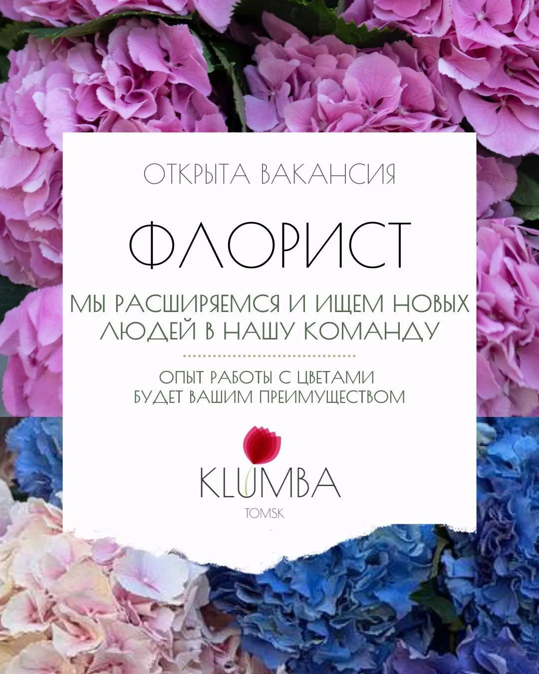 Открыта вакансия ФЛОРИСТ в цветочный салон KLUMBA!

Мы расширяемся! И ищем ответственного/ творческо