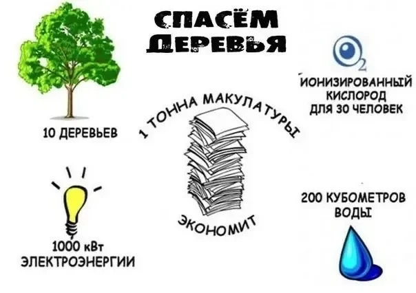 🌳СДАЙ МАКУЛАТУРУ - СПАСИ ДЕРЕВО🌳