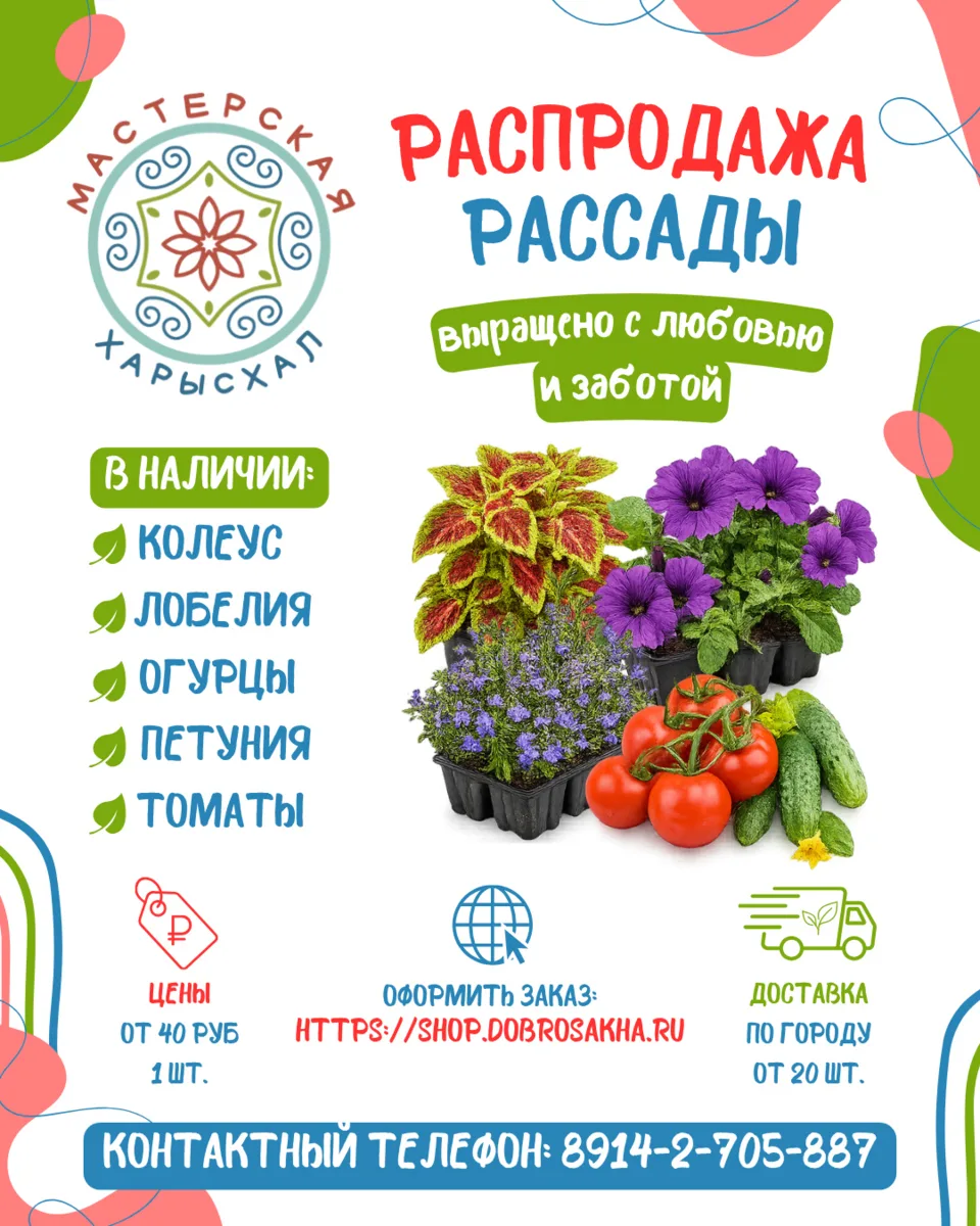 Мастерская гарденотерапии объявляет о СТАРТЕ распродажи рассады! 🎉🌸