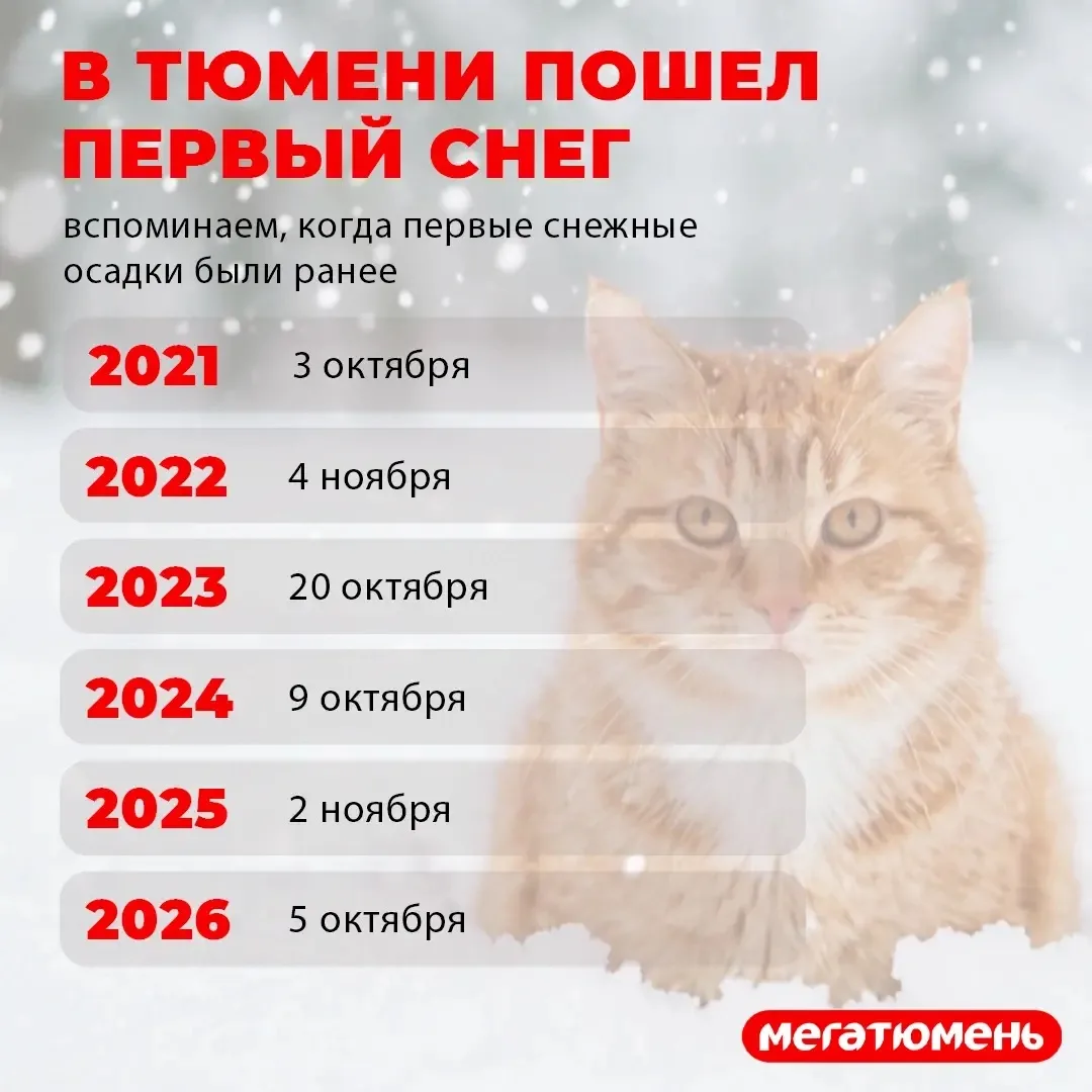Ну все, сегодняшний день вошел в историю!