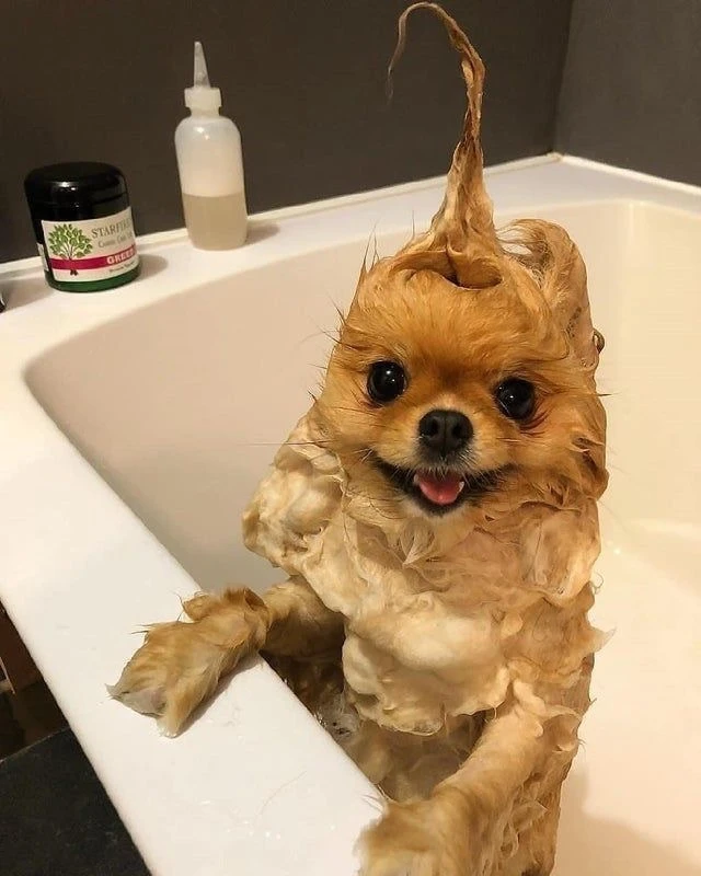 Купается🥺