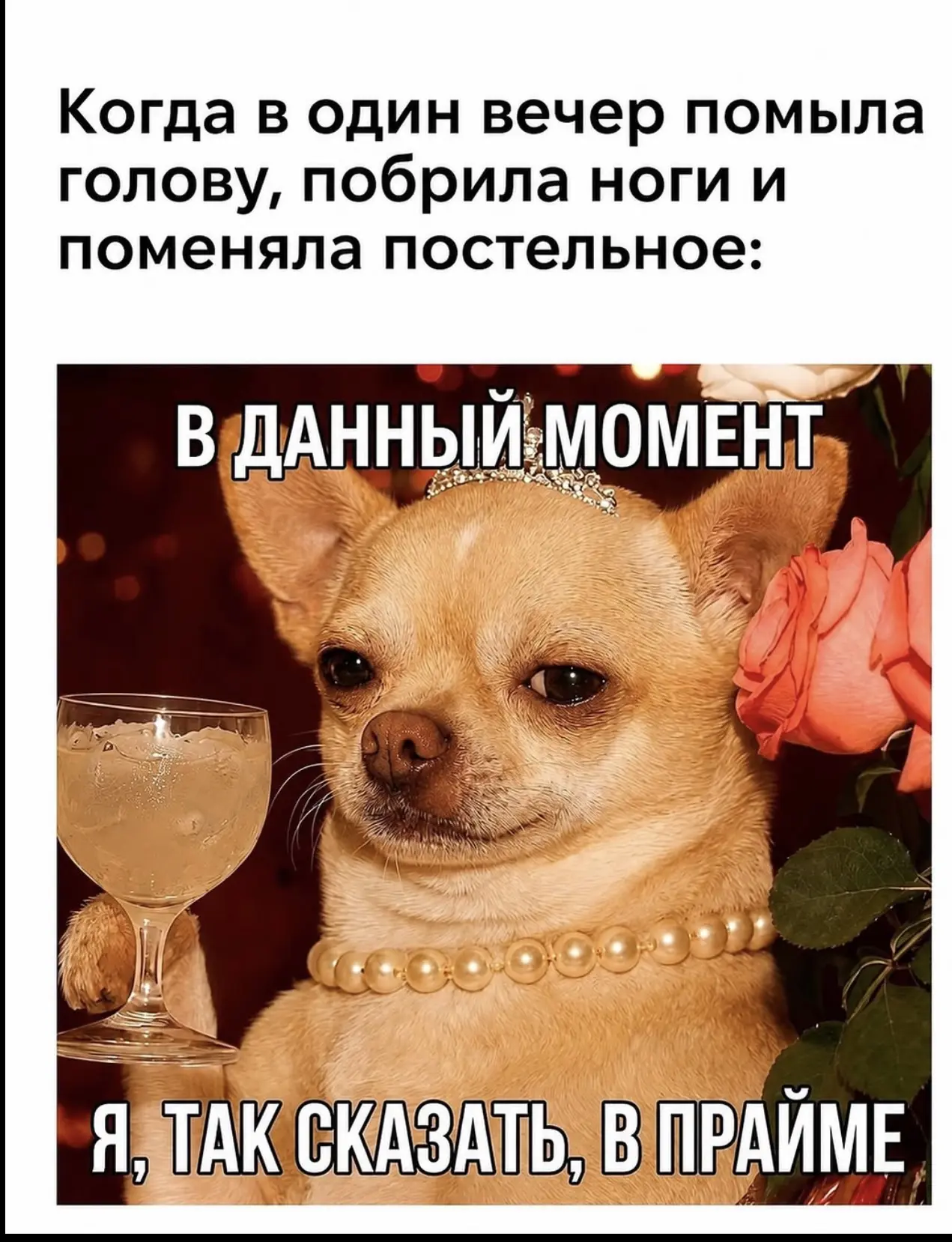 Несите все веселые картинки, что сохранили в галерее телефона за неделю, воскресный обмен мемами  об