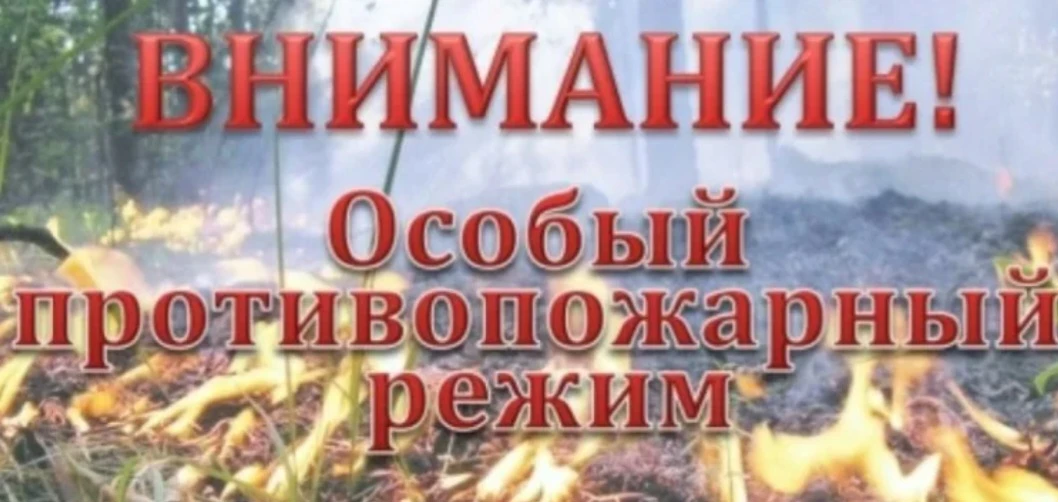 🔥 В Ставропольском крае начинает действовать особый противопожарный режим