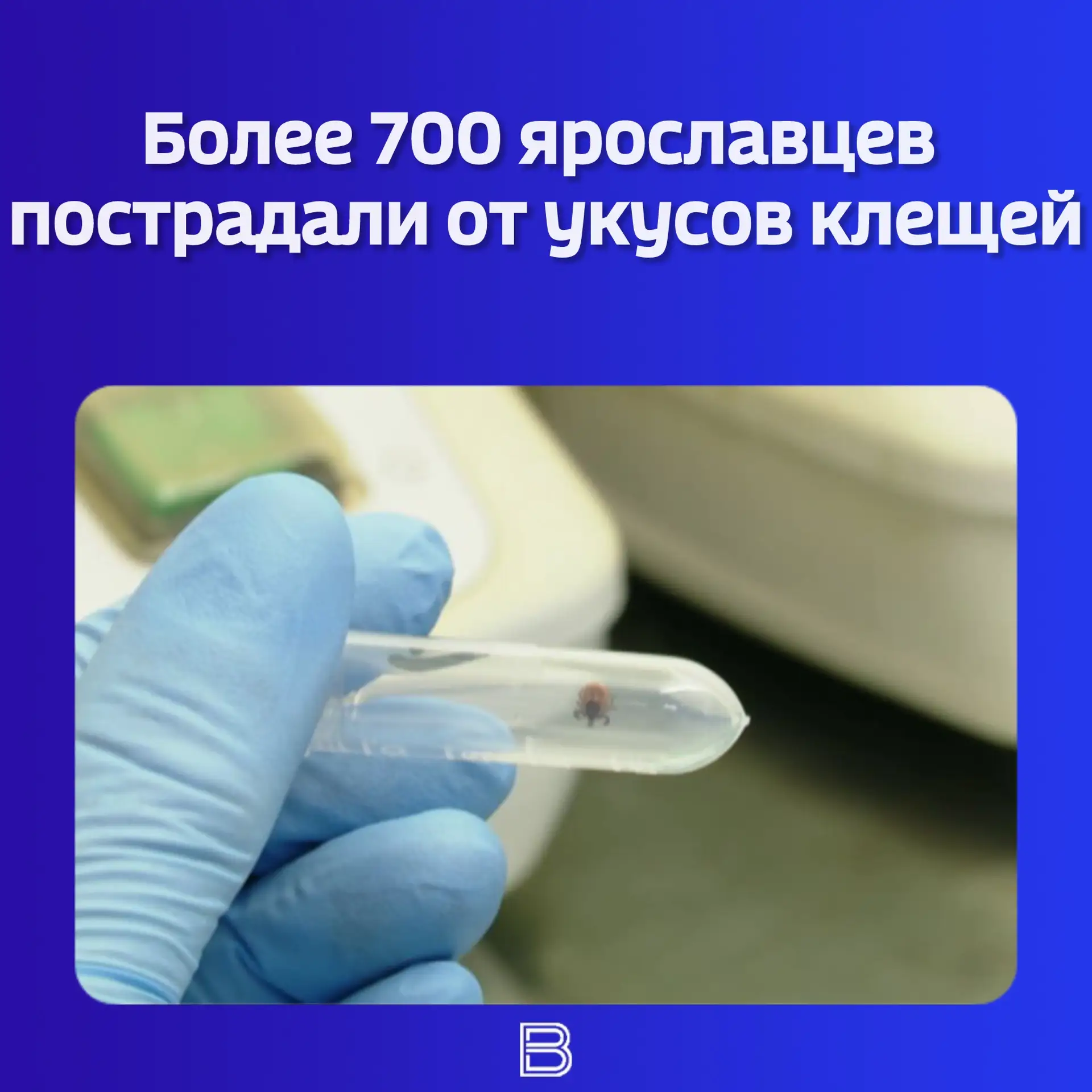🕷️ Статистикой поделилась пресс-служба регионального отделения Роспотребнадзора.  📈 В Ярославской об