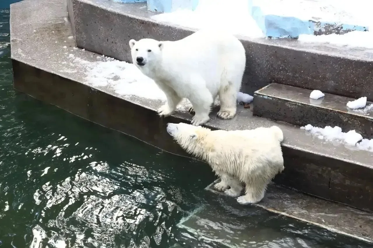 Доброе утро, друзья! Сегодня, 2 октября, днем будет до +16, а к вечеру температура опус...