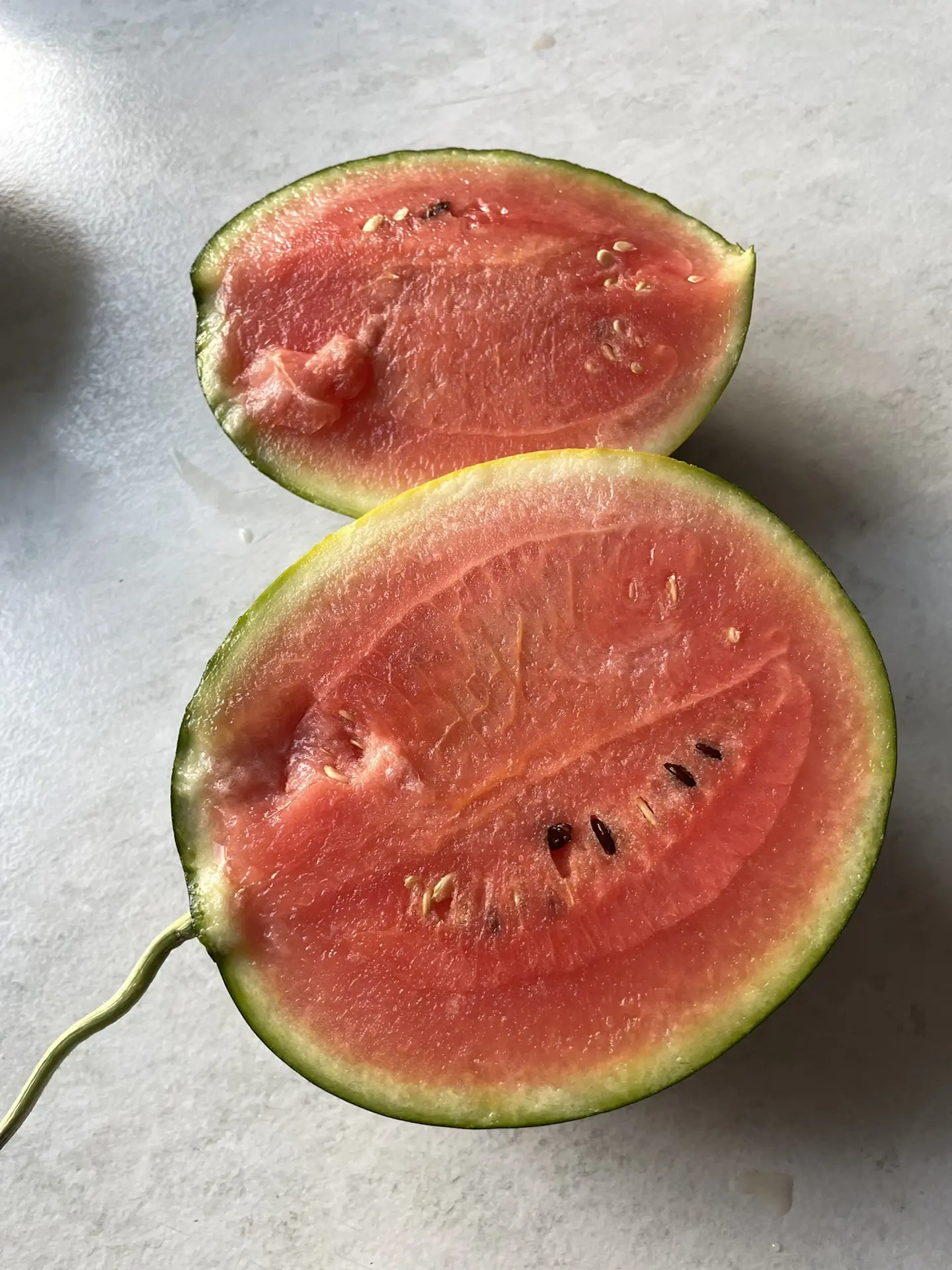 Единственный и самый дорогой для нас. Такого вкусного арбуза я еще не ел, плотный и оче...