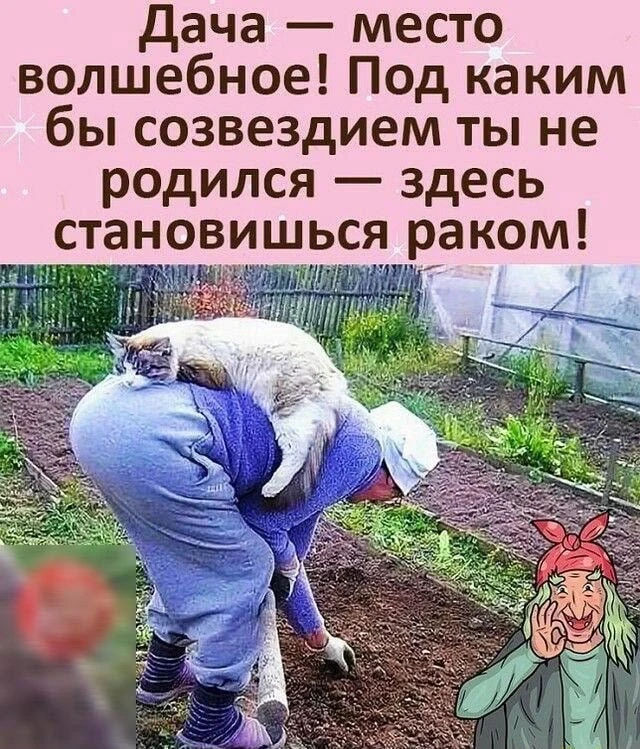 Юмор | Приколы | Мемы 👇🏻