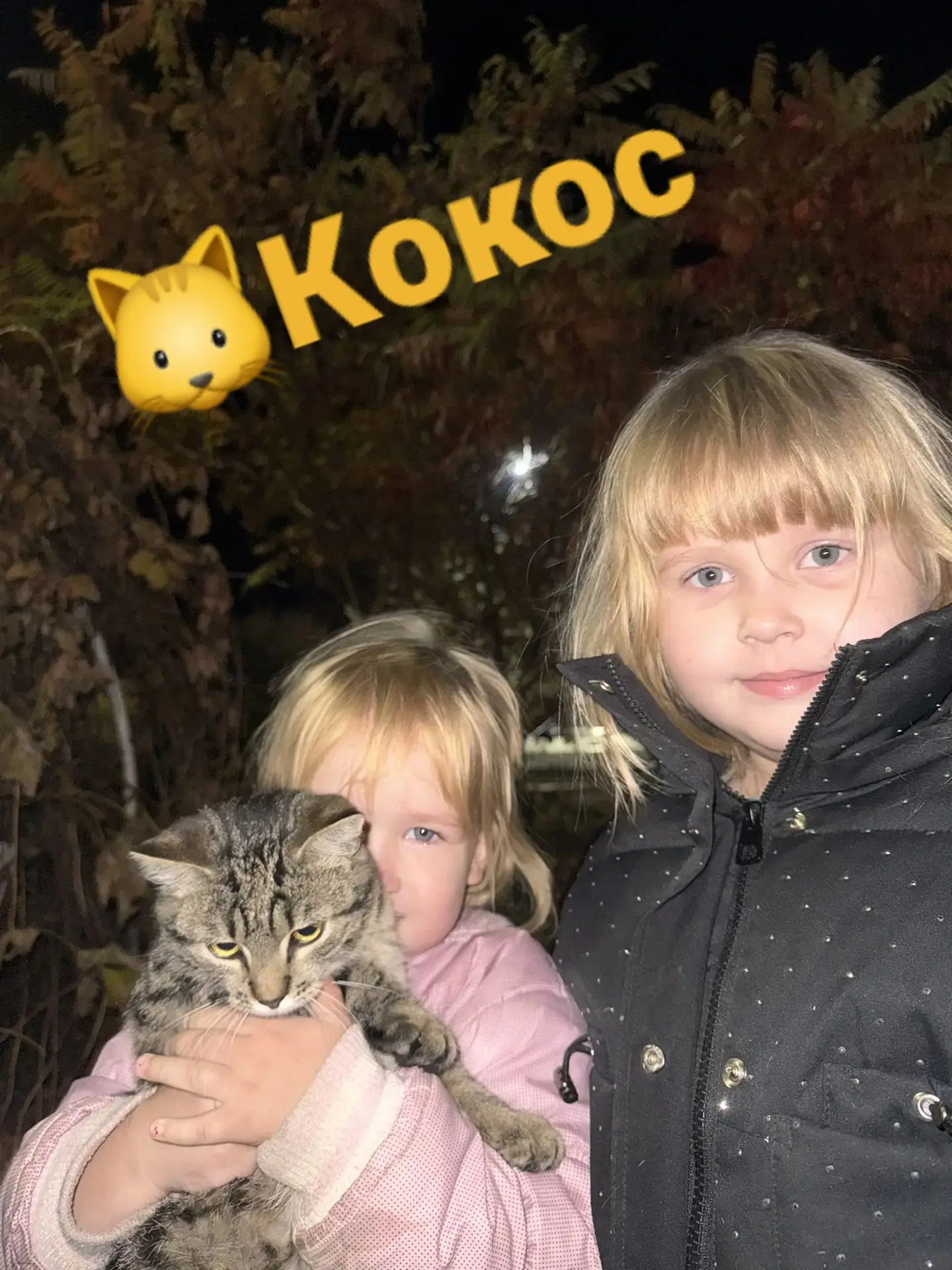 Онлайн акция «Мой домашний питомец»🐱🐶📸