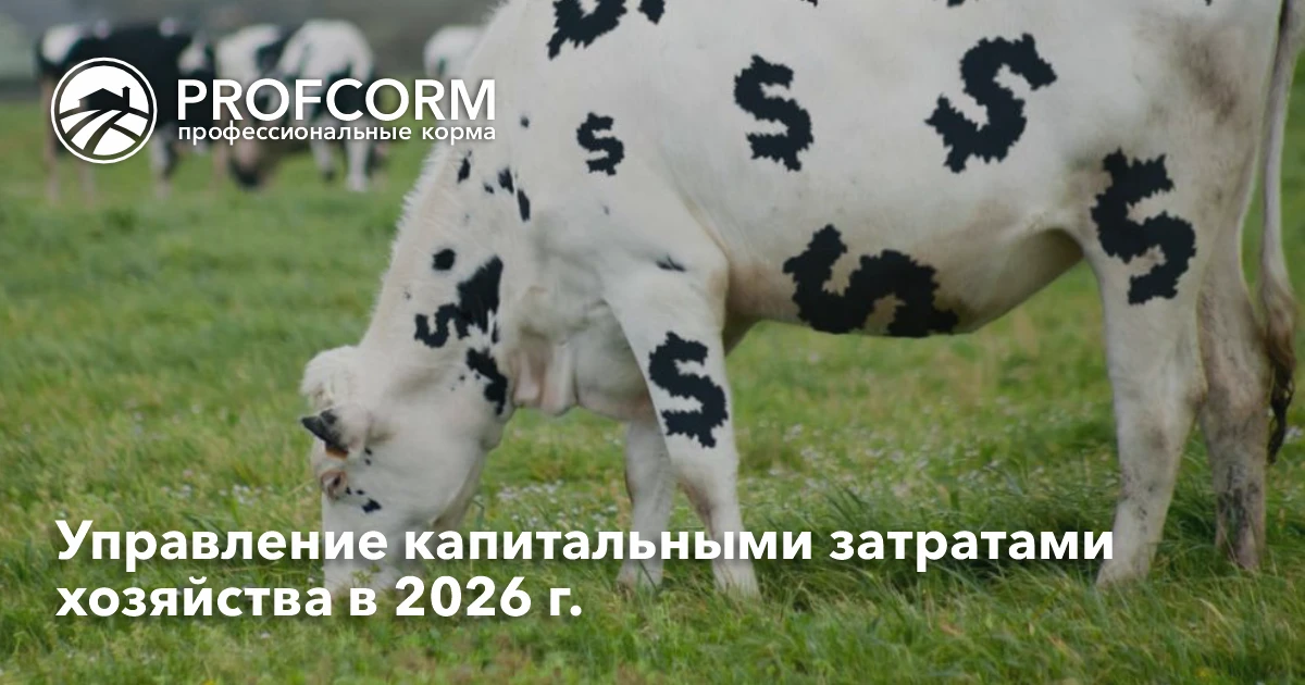 🧾 Чек-лист управления капзатратами молочного хозяйства на 2026 год