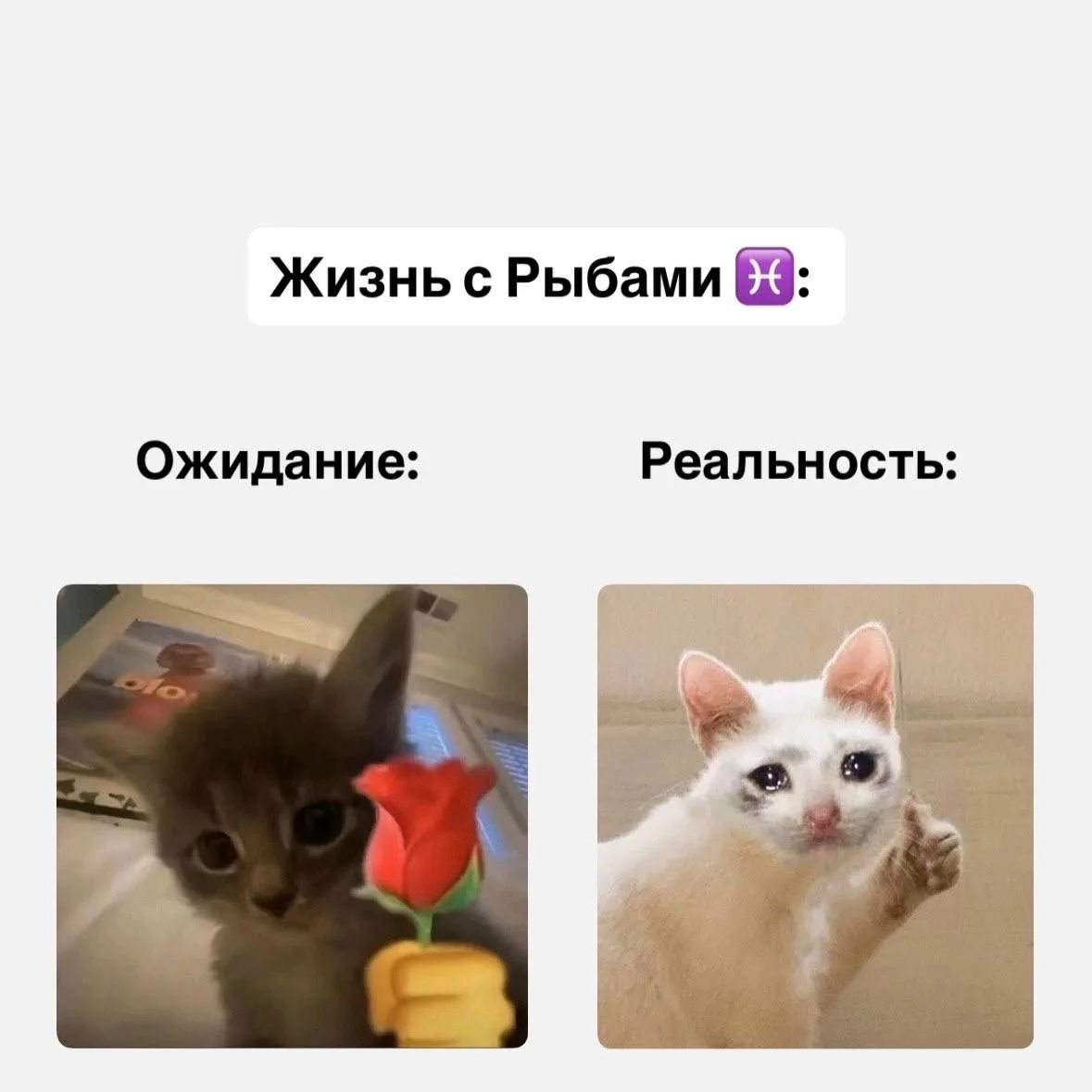 Жизнь со знаками зодиака, часть 2  Если согласны с постом, оставляйте реакцию ❤️  Астрология | Подпи