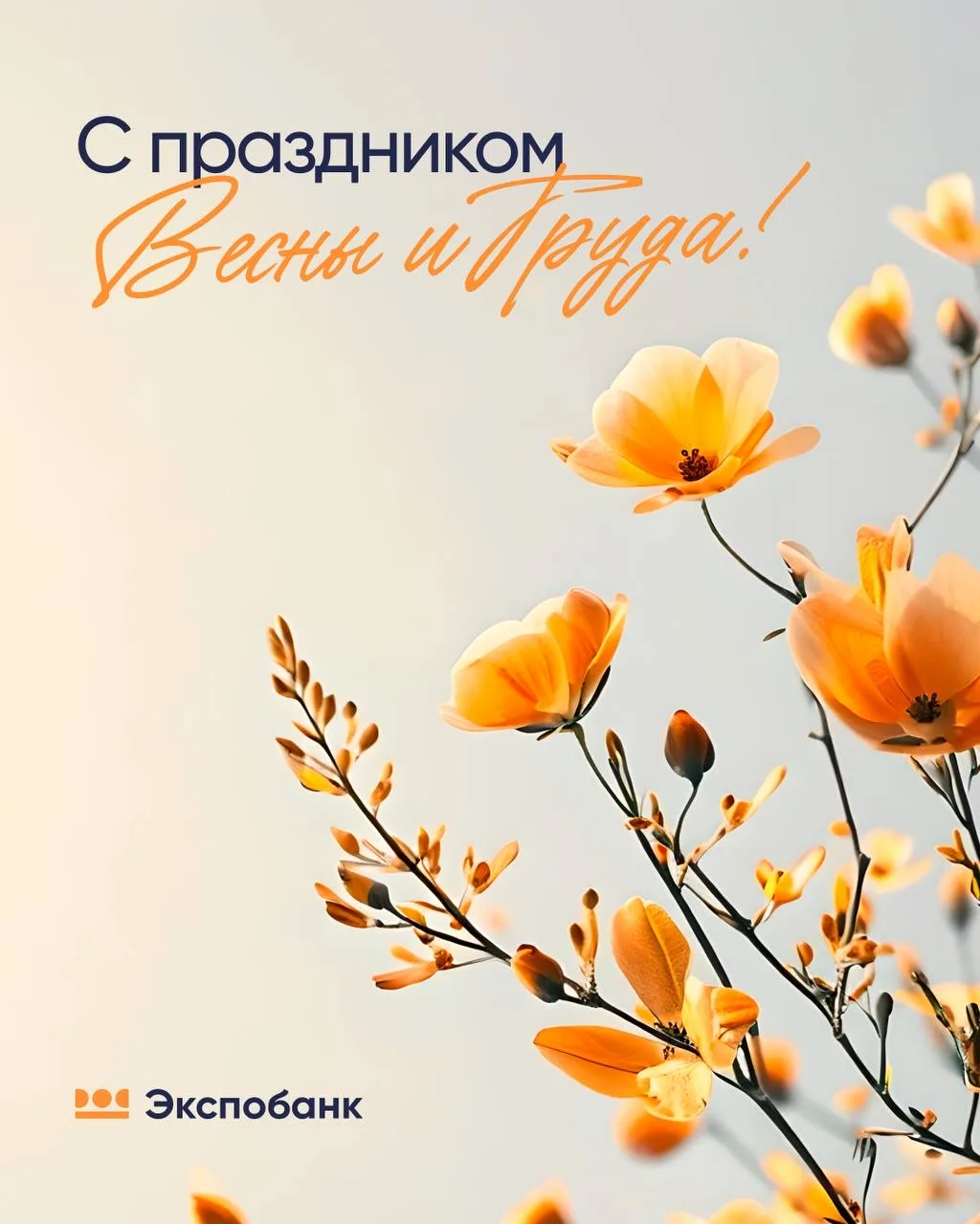 Успех — это результат упорного труда, а не случайности
