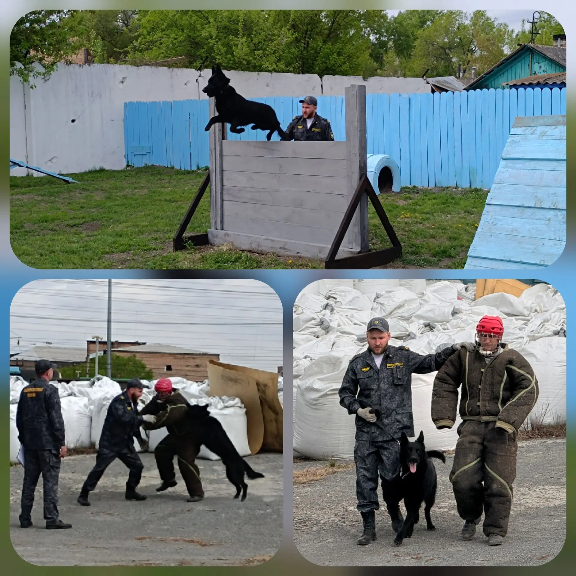 🐾 ХВОСТАТЫЙ СПЕЦНАЗ МАГИСТРАЛИ: ФИНАЛ СОРЕВНОВАНИЙ КИНОЛОГОВ В ФИЛИАЛЕ НА КРАСНОЯРСКОЙ ЖД 🚂  В филиа