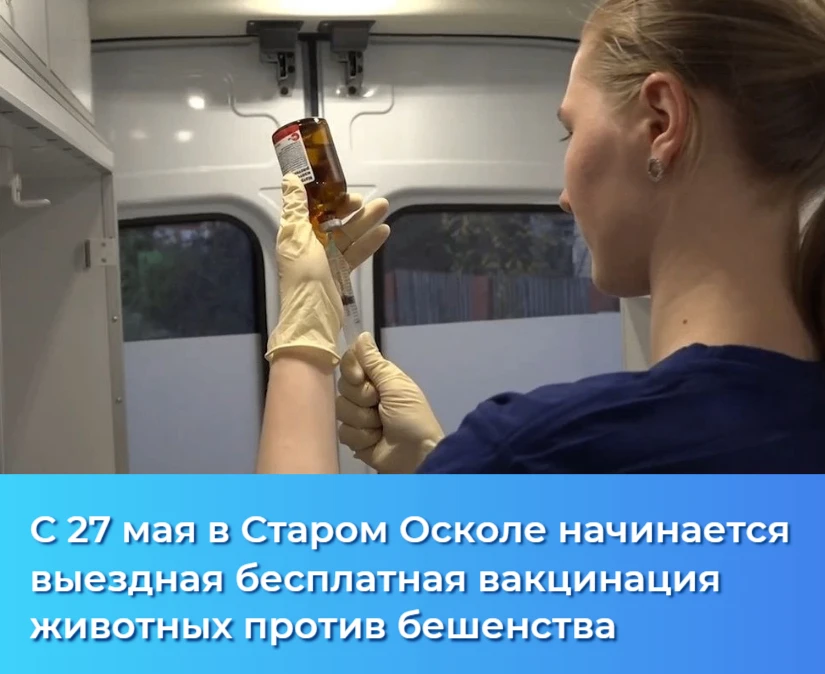 С 27 мая  по 02 июля 2026 ежедневно с 18-00 ч до 19-00 ч на территории города Старый Оскол Старооско