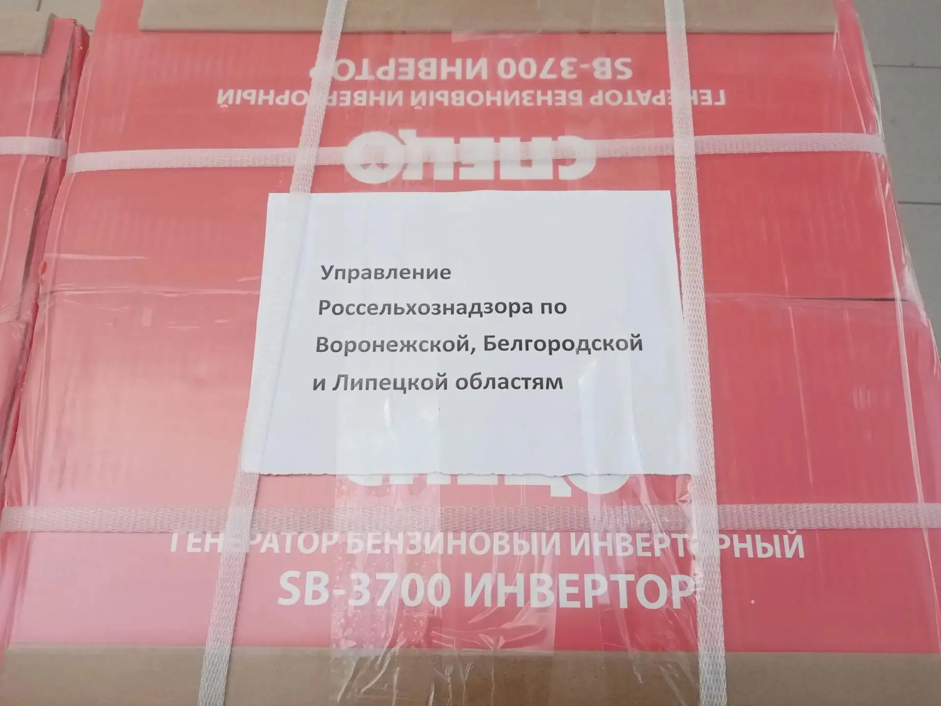Коллектив Управления Россельхознадзора по Воронежской, Белгородской и Липецкой областям...