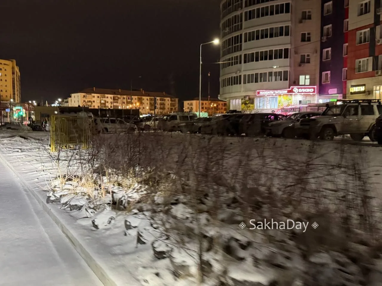 Кусты на Ефимова. #дляsakhaday