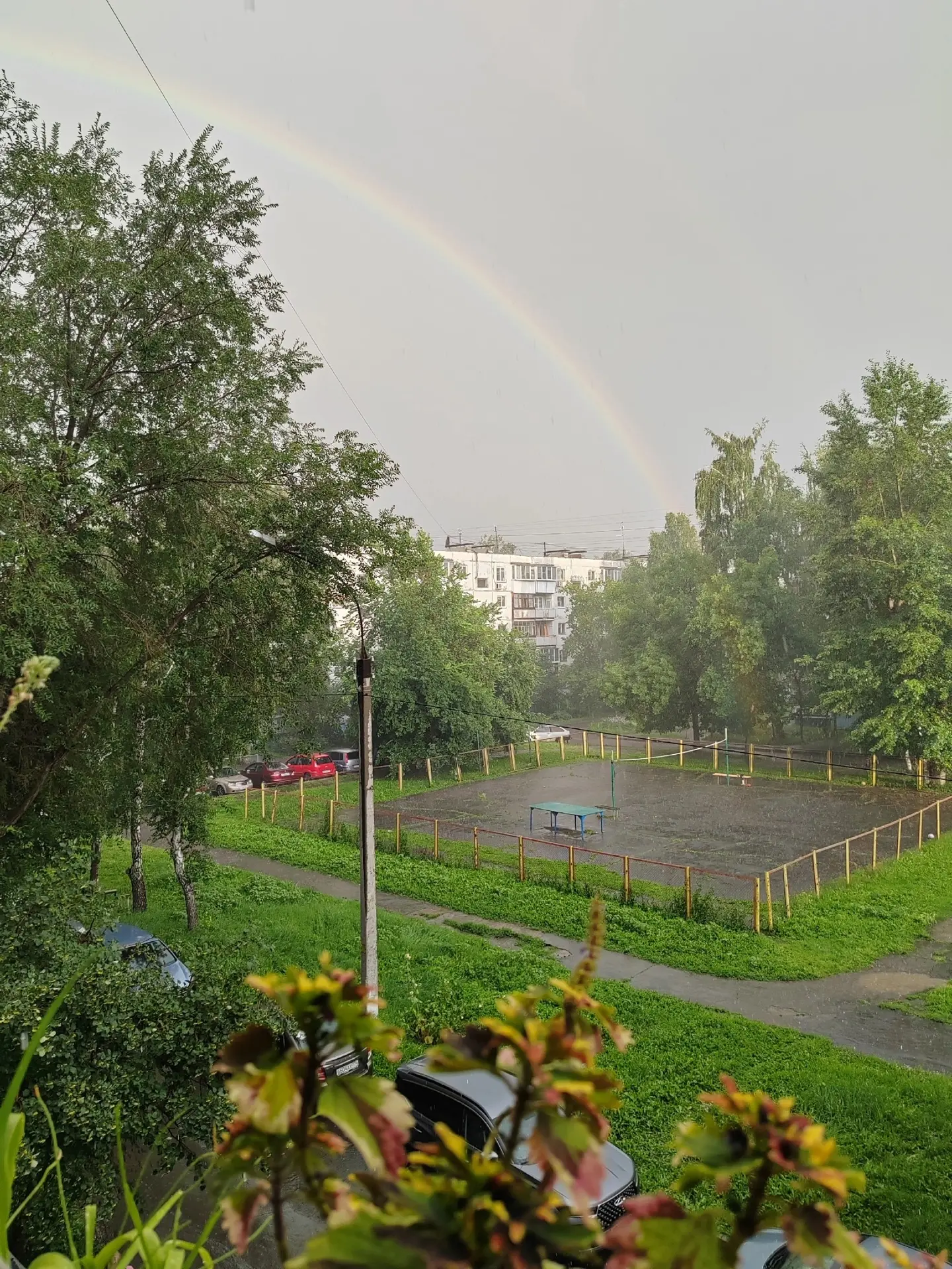☀️ На Северке после ливня