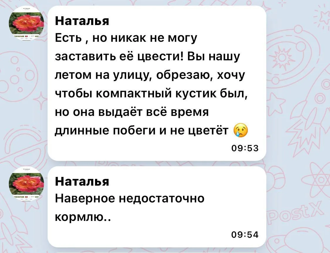 Уже в Максе получаю от вас отличные вопросы. Спасибо за доверие! С удовольствием отвечу.
