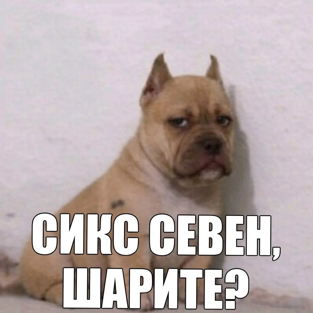 Мем "Сикс-Севен" стал самым упоминаемым в I полугодии в русскоязычных соцсетях (1,26 мл...