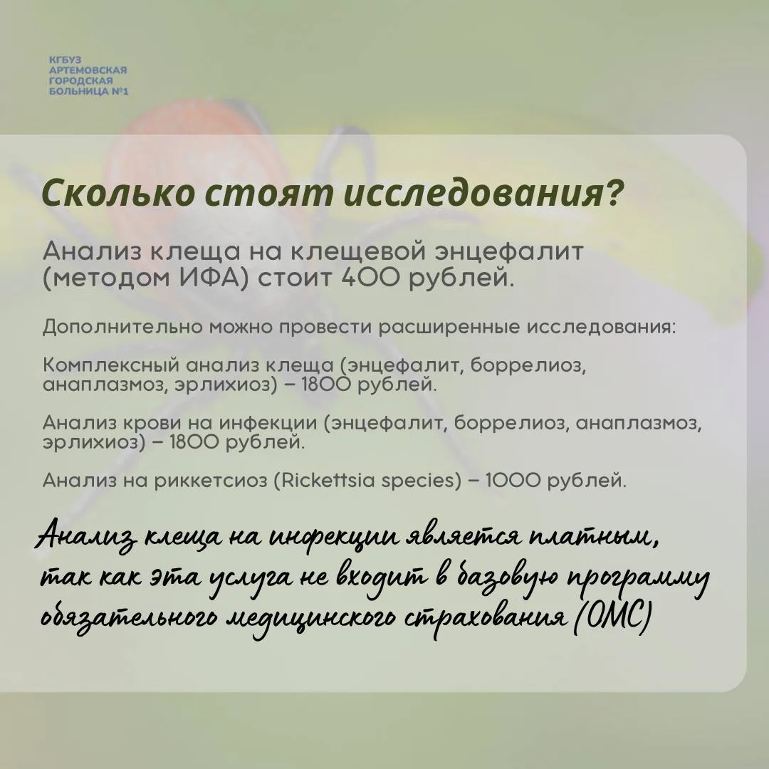 Клещи проснулись! Что делать?  Отвечаем в наших карточках на главные вопросы: как действовать при ук