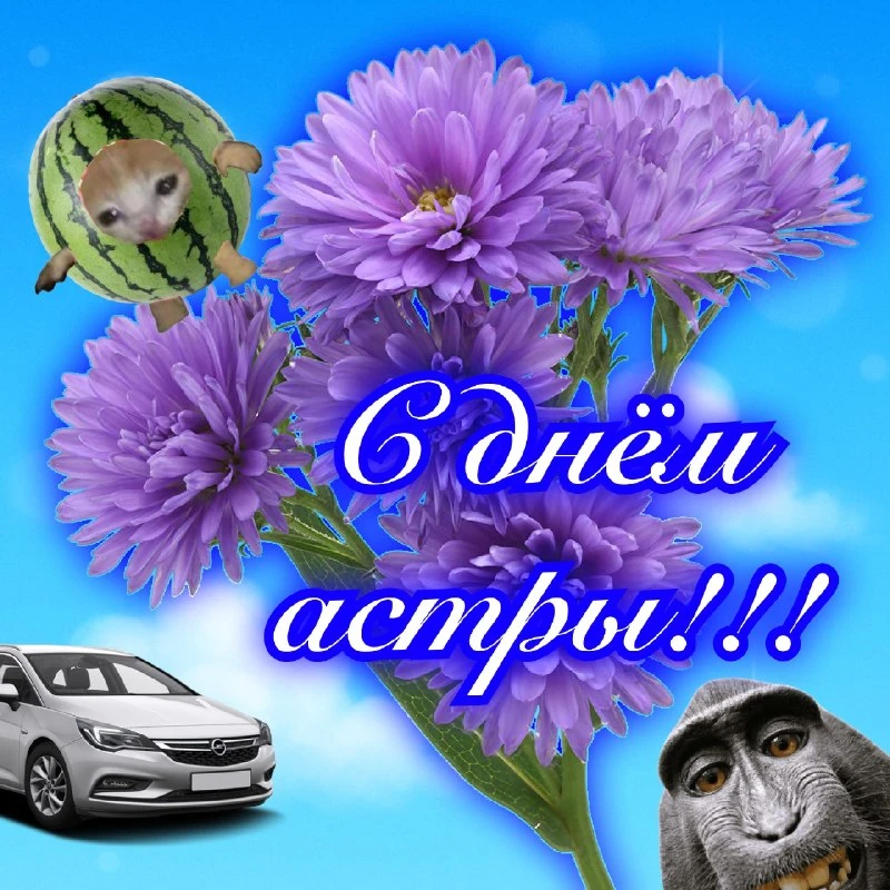 🌸Красивые открытки