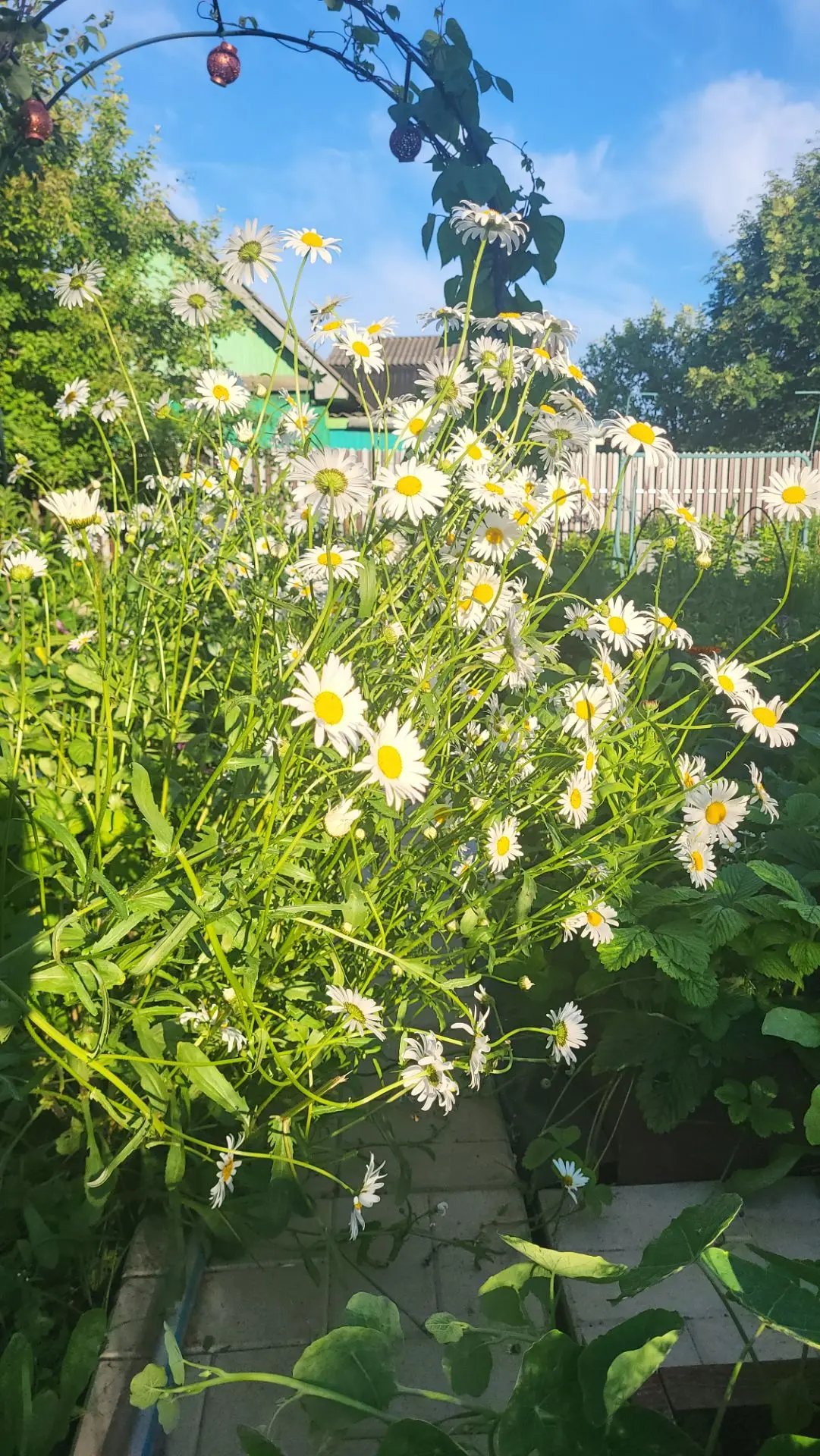 Только гляньте какие красотки😍