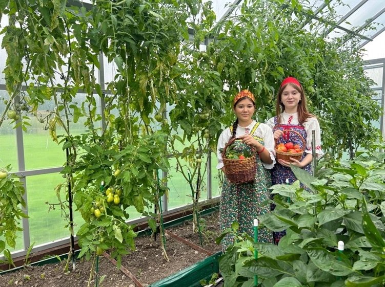 🍇Подведены итоги конкурса фотографий «Урожай на моём огороде».