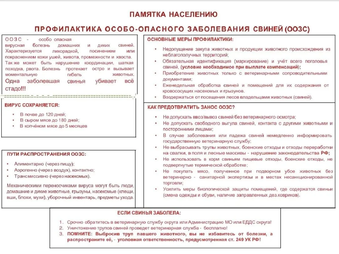 ❗️Памятка населению по профилактике распространения особо-опасного заболевания свиней.🐽