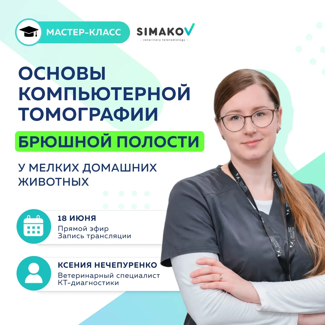 📣 Анонс нового мастер-класса!