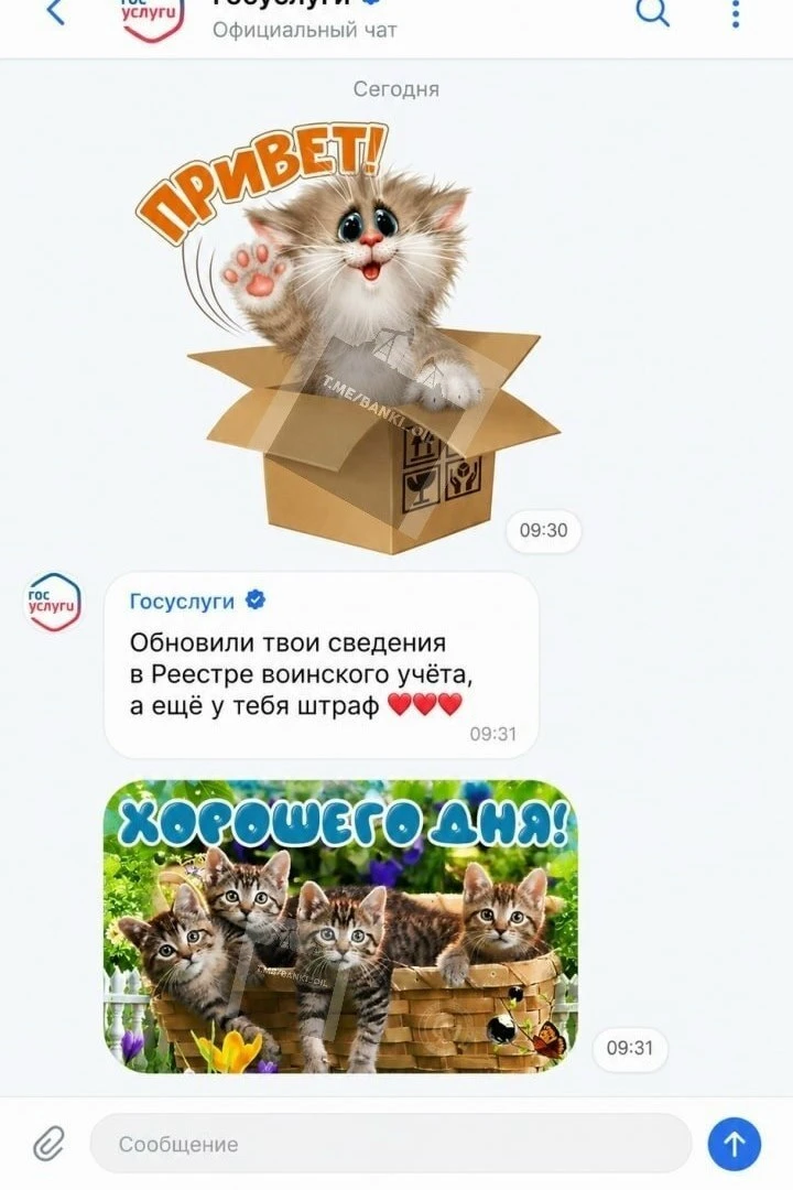 😬 Госуслуги превратят в полноценный мессенджер и социальную сеть