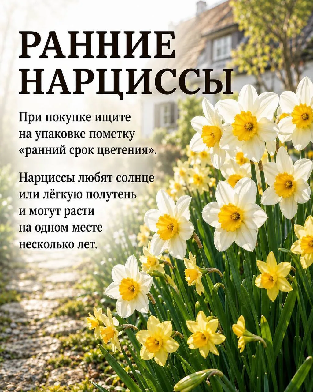Изображение 1 к публикации «Моя Дача»