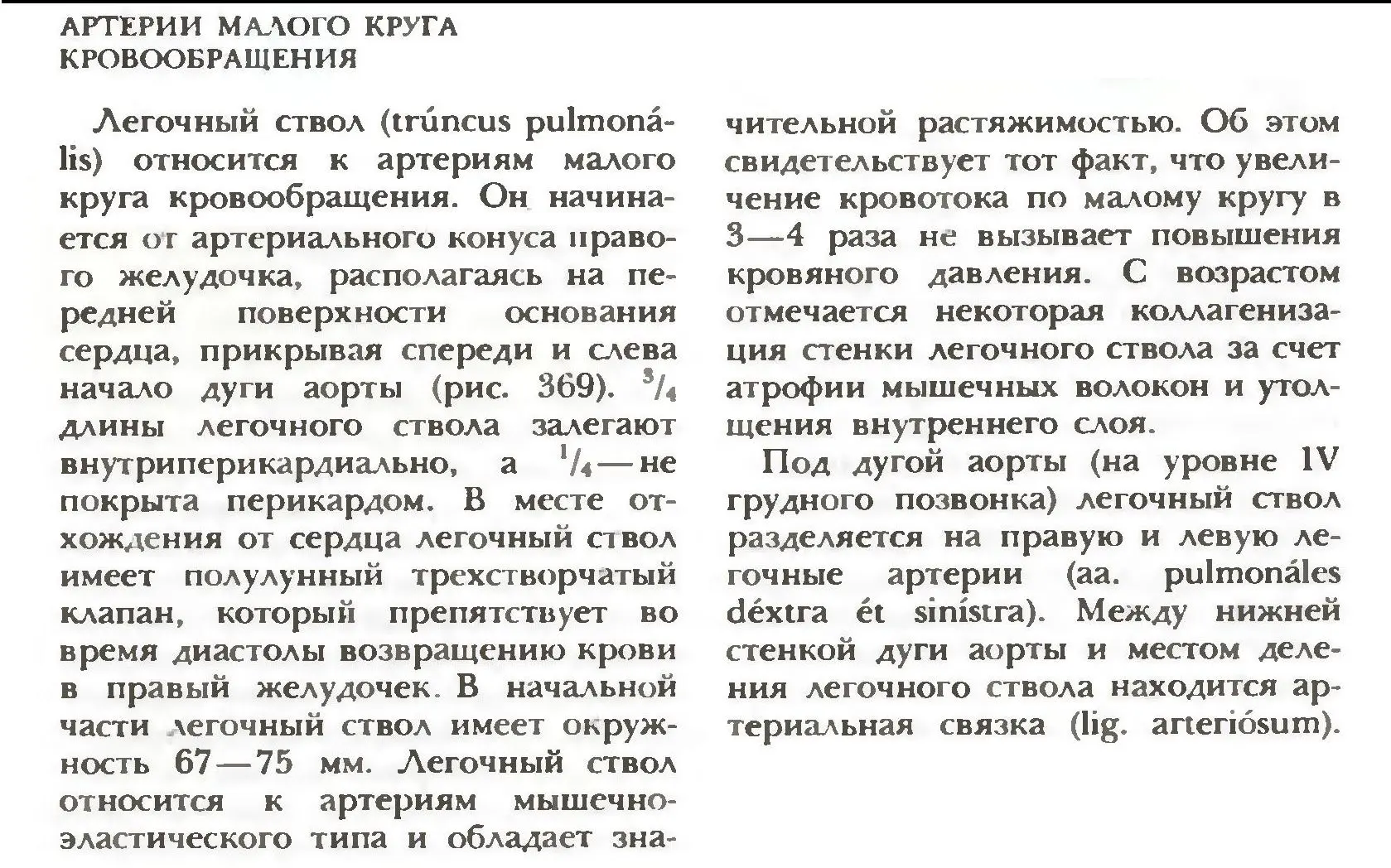 Артерии малого и большого круга кровообращения. Сосуды сердца