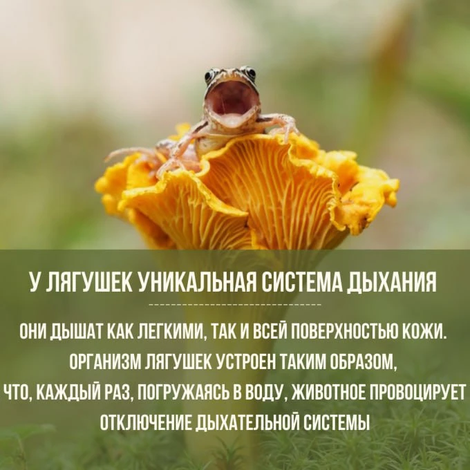 Приветствую вас, друзья мои! С праздником! 🌅